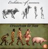EVOLUTION.jpg