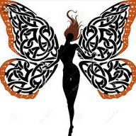 ladybutterfly