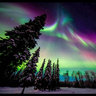 Northern Lights