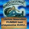 mbuzi wa mshenga