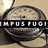 Tempus Fugit