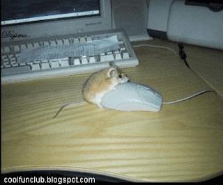 mouse-794510.gif