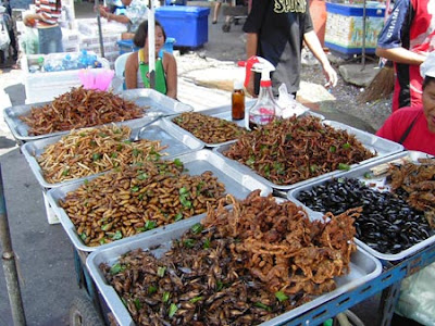 bangkok_deepfriedinsects_foodstall.jpg