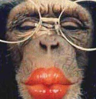 monkey+lipstick+kiss.jpg