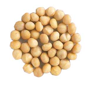 macadamia%252520nuts.jpg