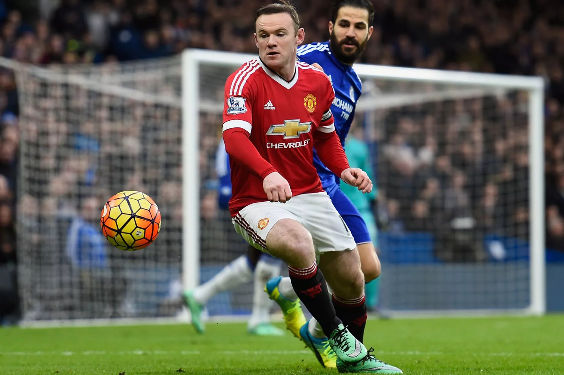 Rooney-1.jpg