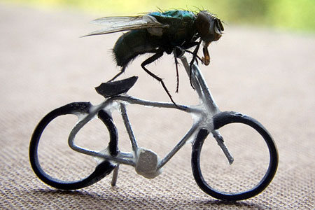 FlyBikeBARCROFT_450x300.jpg