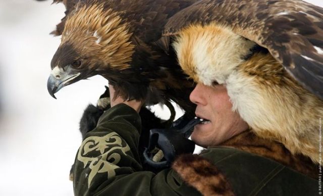 hunting_with_eagles_00.jpg