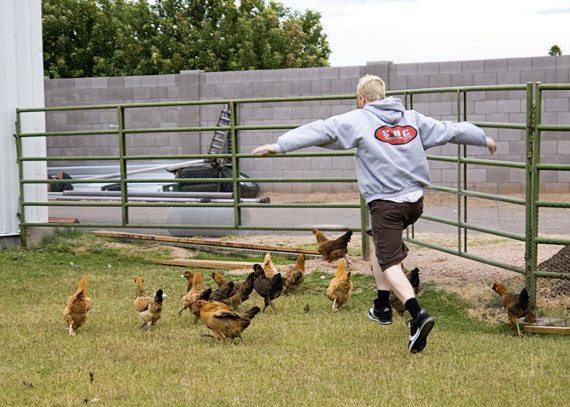 1208%20T%20chasing%20chickens%20small.jpg