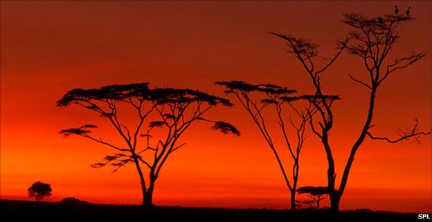 _53670885_serengeti_national_park-spl.jpg