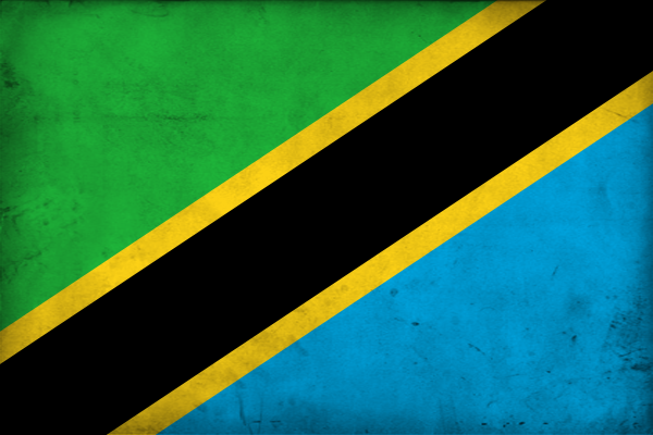 grunge_flag_of_tanzania_by_pnkrckr.png