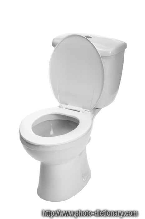 13289toilet_bowl.jpg