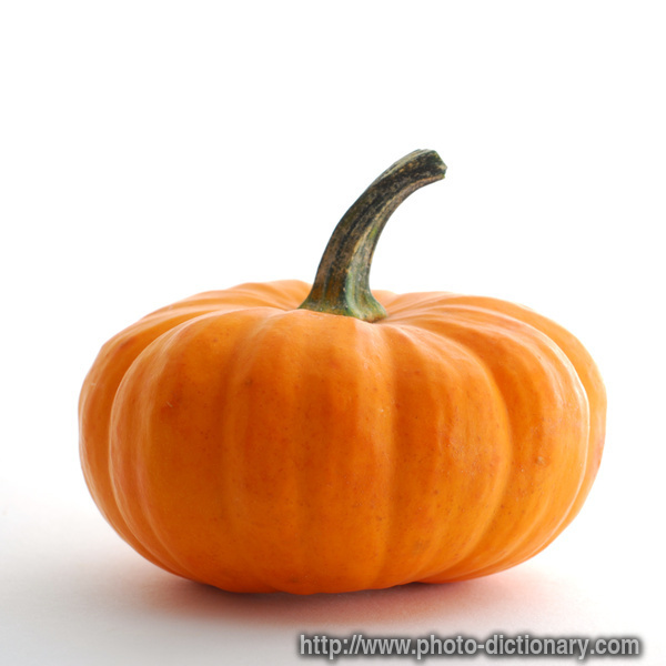 851pumpkin.jpg