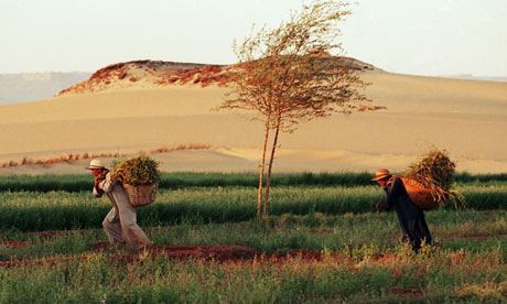 Farmers-work-in-thhe-Saha-007.jpg