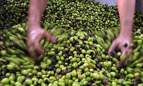 A-Palestinian-farmer-exam-001.jpg