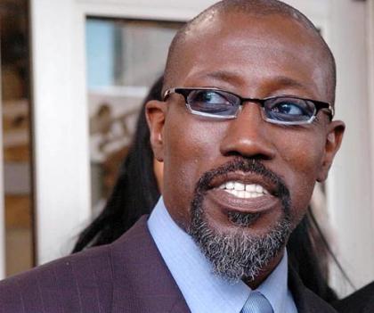 wesley-snipes-pic_420x351.jpg