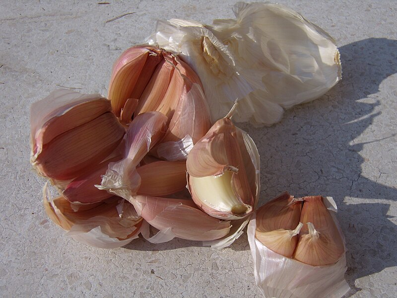 800px-Italian_garlic_PDO.JPG