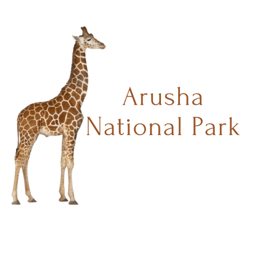 www.arushapark.com