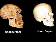 091116171306_sp_darwin_hsapiens_226b.jpg