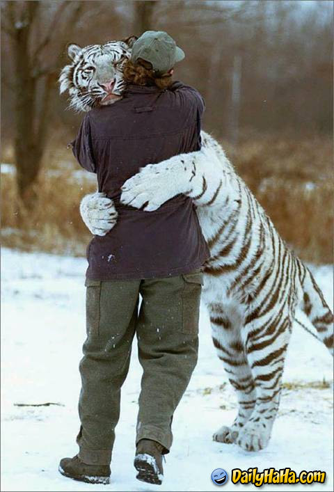 tiger_hugging_man_.jpg