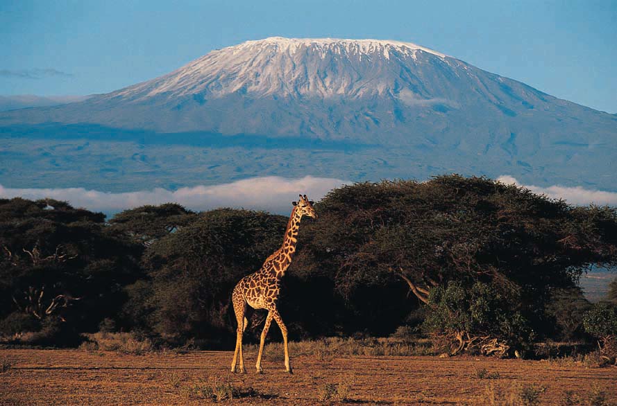 Mount-Kilimanjaro.jpg