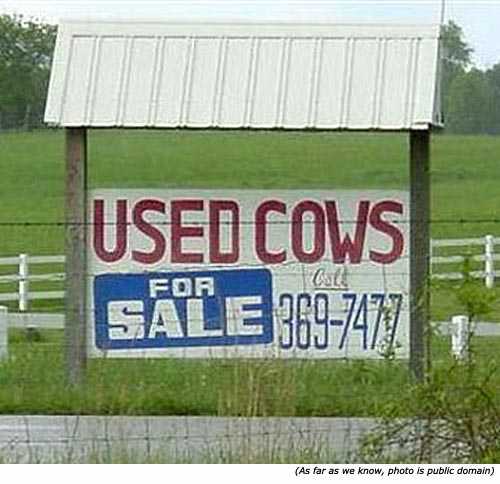 funny-traffic-signs-used-cows-for-sale.jpg