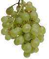 grape.jpg