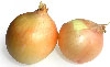 onions.jpg