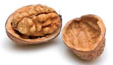 walnut.jpg