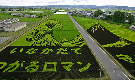 rice_art11.jpg