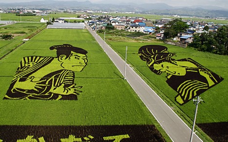 rice_art13.jpg