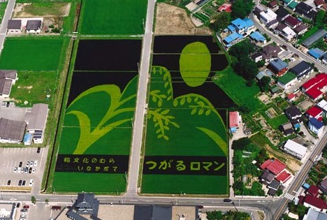 rice_art14.jpg