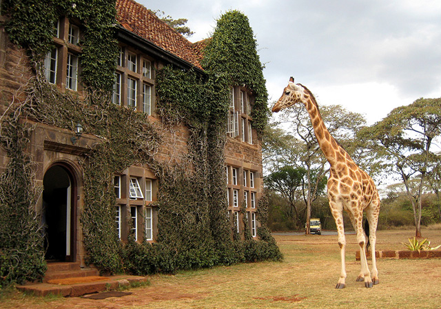 Giraffe-Manor.jpg