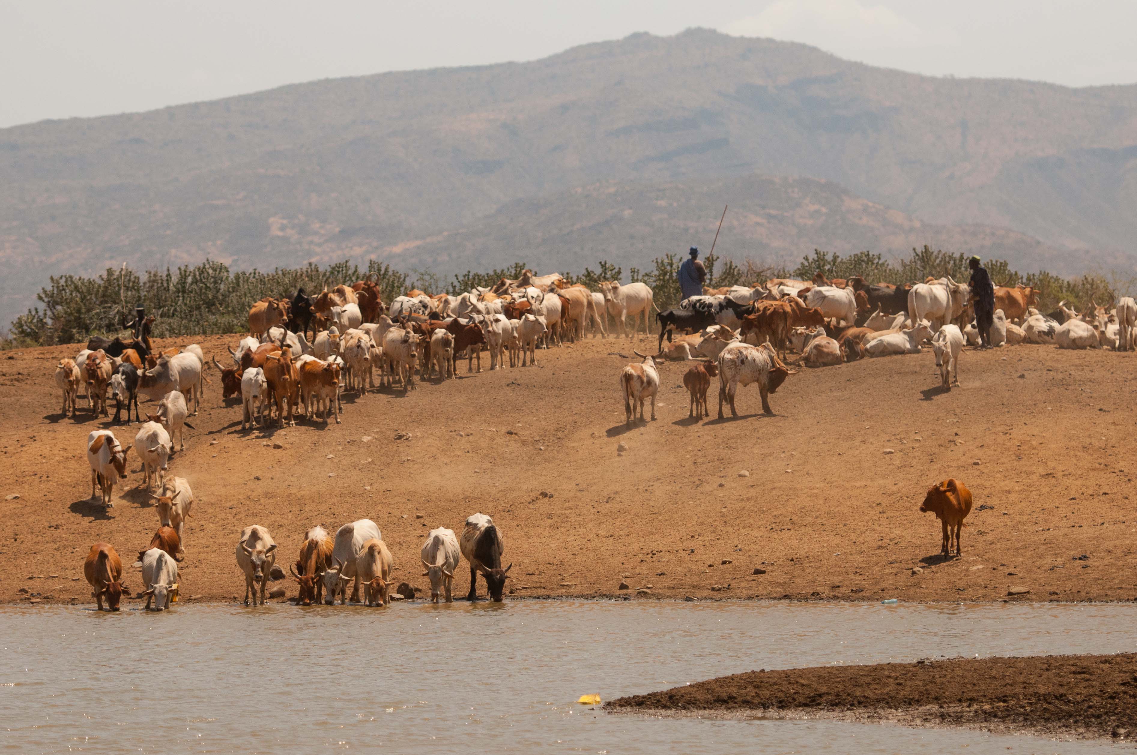 Fiebig-Turkana-6158.jpg