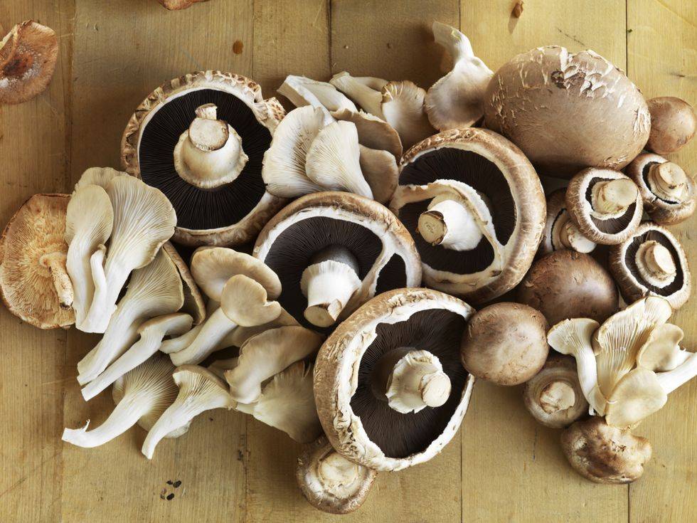 Champignon mushroom, Mushroom, Pleurotus eryngii, Edible mushroom, Shiitake, Agaricus, Agaricomycetes, Oyster mushroom, Fungus, Ingredient, 