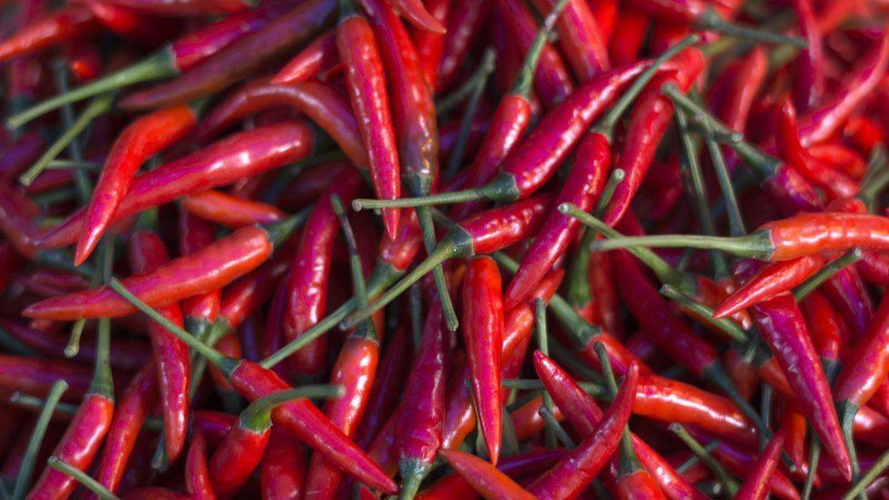 Produce, Ingredient, Malagueta pepper, Red, Food, Bird's eye chili, Spice, Bell peppers and chili peppers, Chili pepper, Carmine, 
