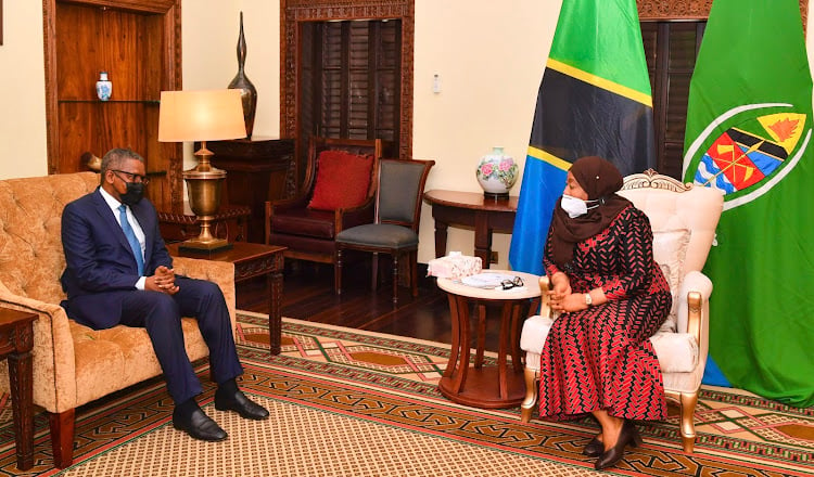 Tanzanian President Samia Suluhu and Nigerian business mogul Aliko Dangote during a discussion on Monday at Dar es Salaam State House.