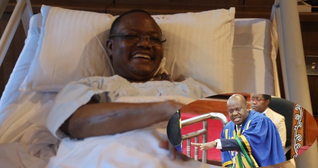 lissu21.jpg