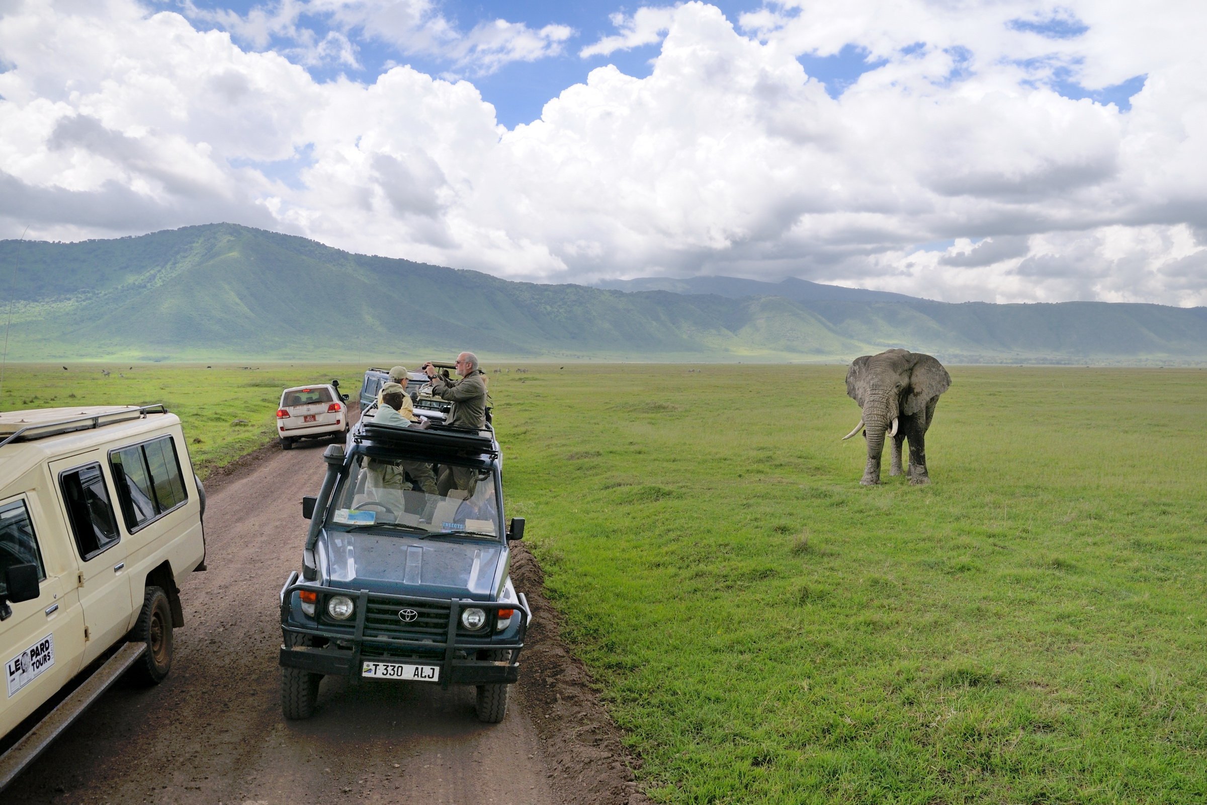 Elephant_and_tourists_at_Ngorongoro_Crater.jpg
