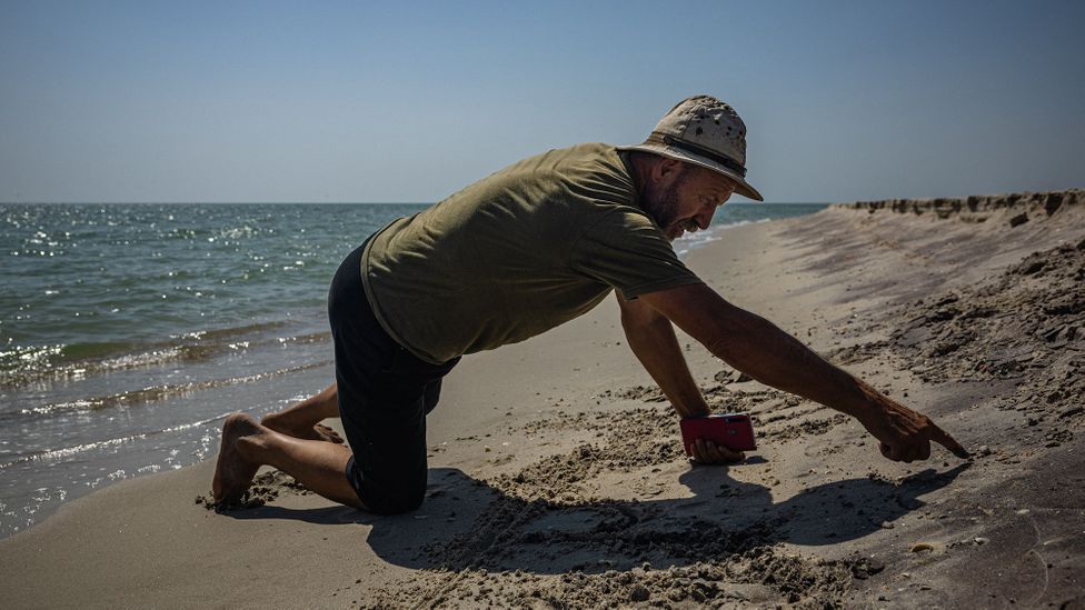 More than 2,500 dolphins had washed up by May this year – significantly more than happens typically for the period (Credit: Getty Images)