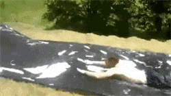 085408b0-7265-4501-921f-81a1befd7cc3-gif.926856.gif
