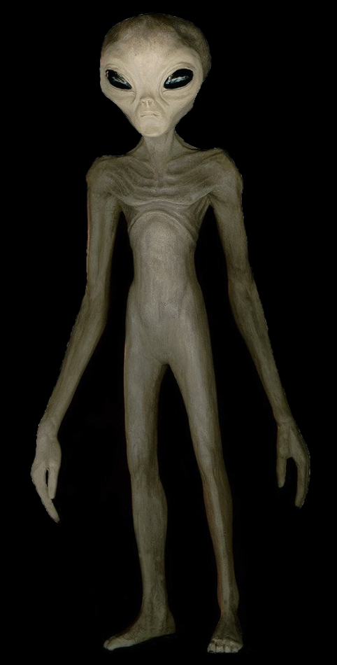 0AB0B441-94F8-4FBB-9ED1-A4F11592E335.png
