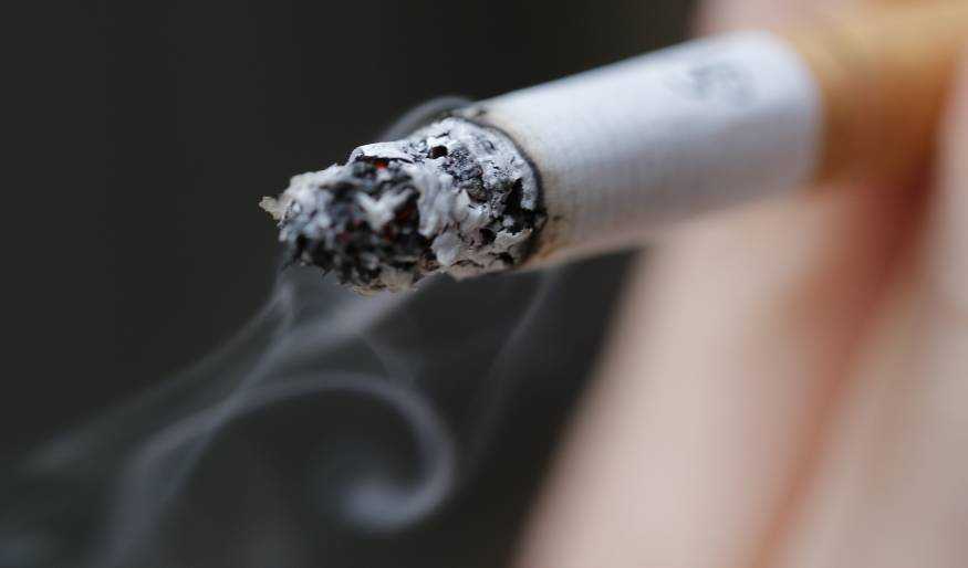 10-23-14-smoking-ban-camel.jpg