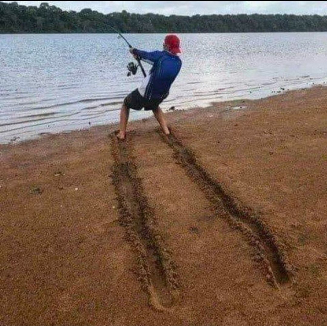 1000240270.jpg