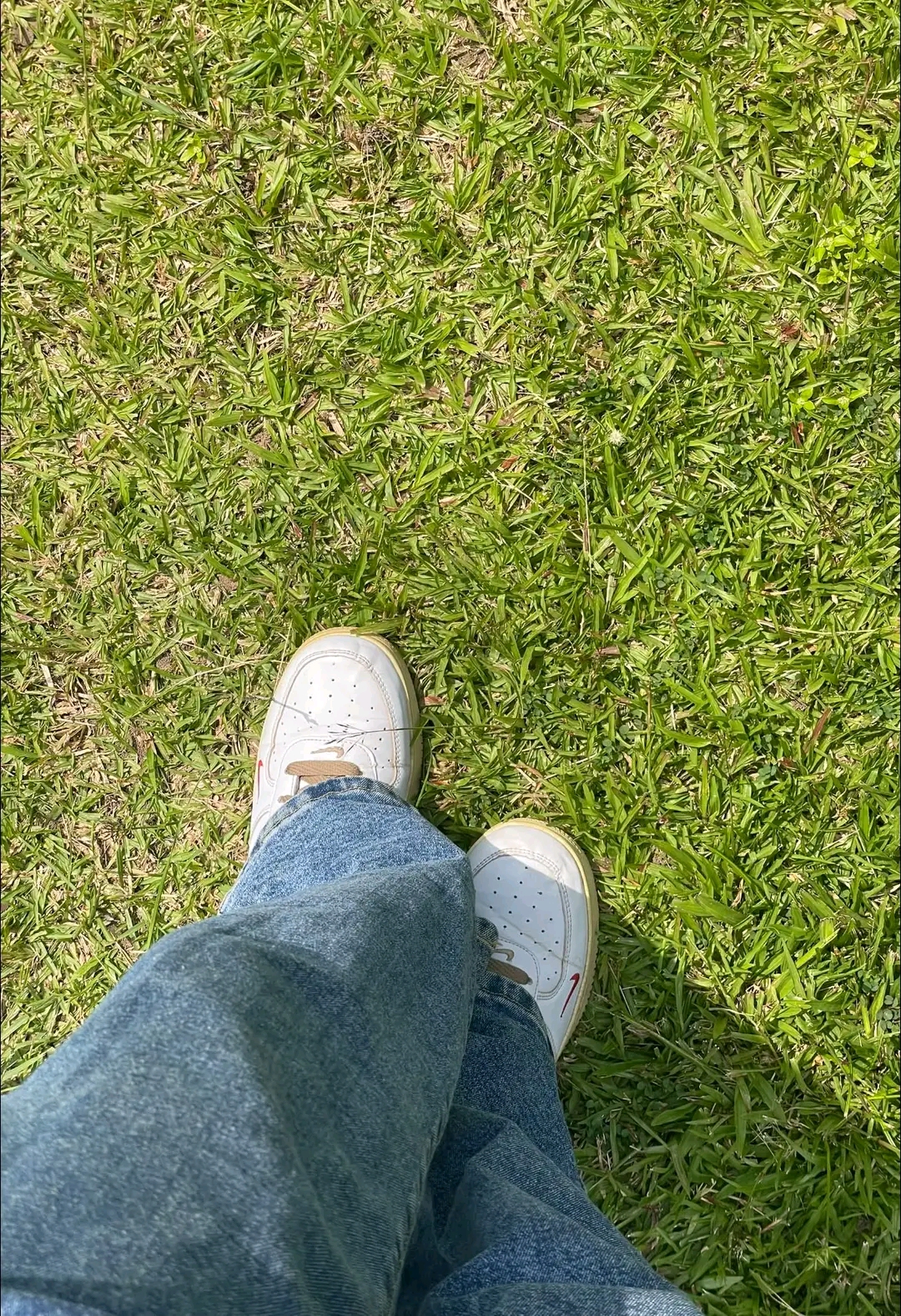 1002740584.jpg