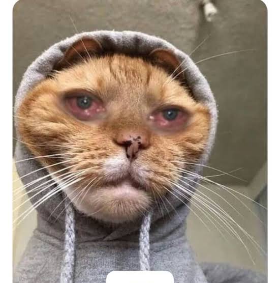 1003266751.jpg
