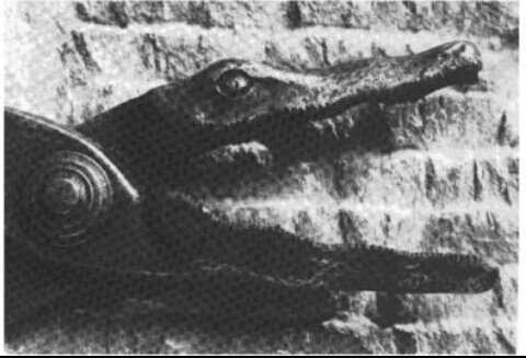 1469641678813.jpg