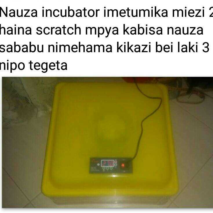 1496293787019.jpg