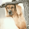 1553272016040.png