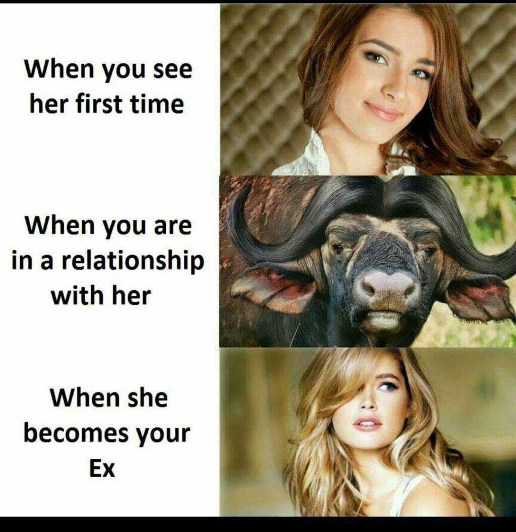 1553873967676.jpg